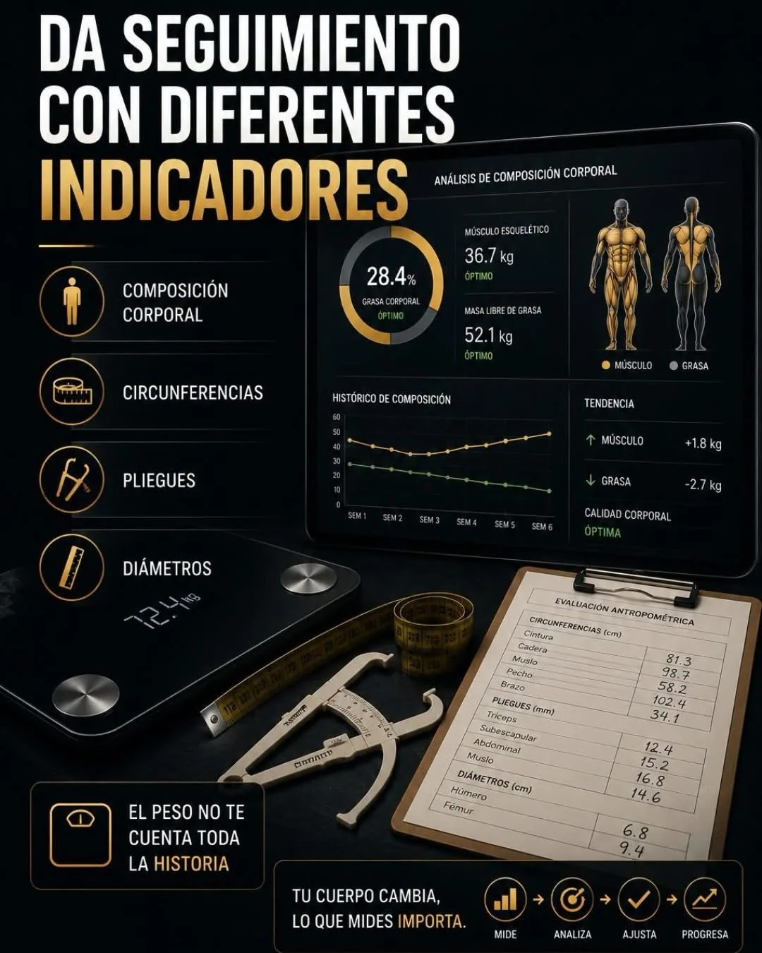 Indicadores de composición corporal